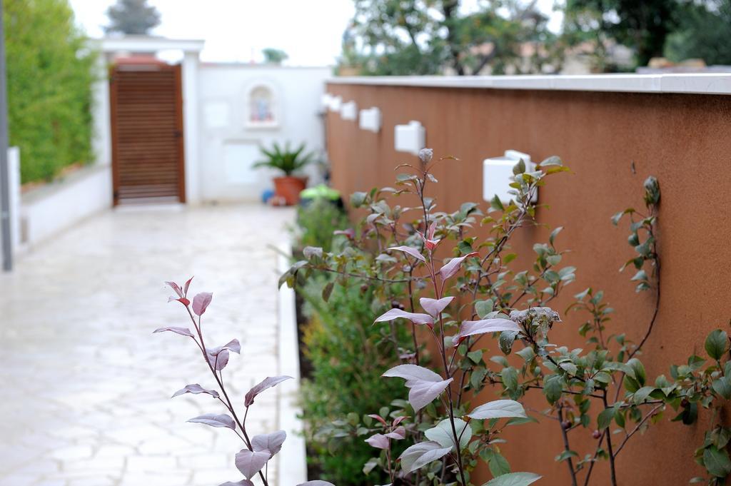 B&B Sun House Modugno Exteriör bild